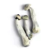 Albino Penis Envy